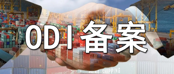 財務(wù)報表ODI 財務(wù)報表ODI